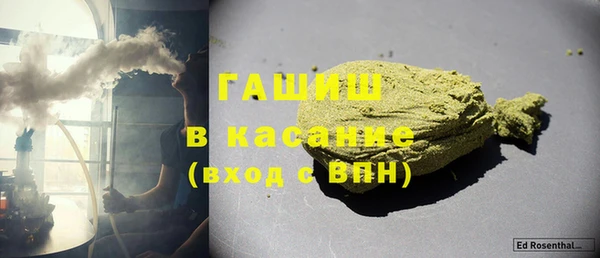 гашик Няндома