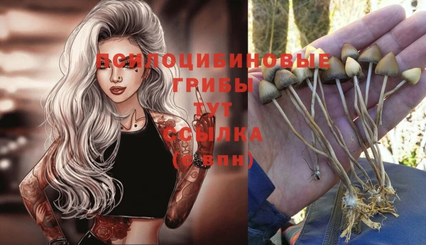 ECSTASY Нягань