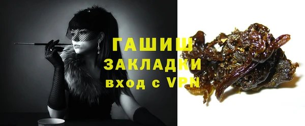 гашик Няндома