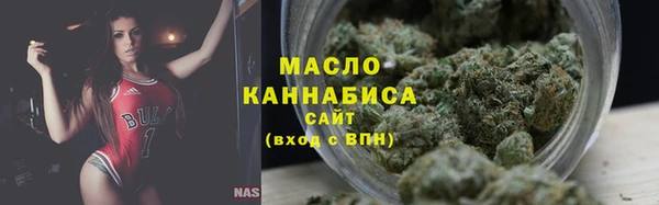 гашик Няндома
