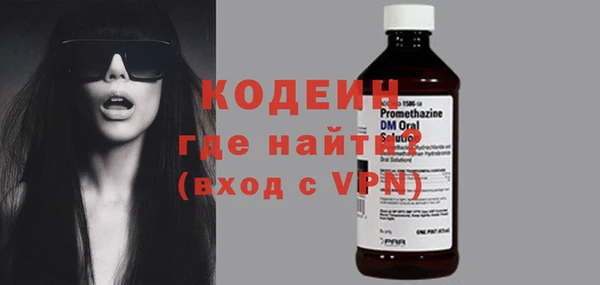 гашик Няндома