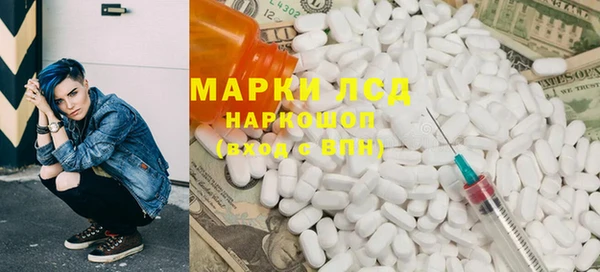 гашик Няндома