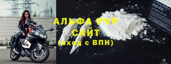 гашик Няндома
