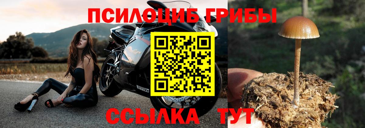 Галлюциногенные грибы Cubensis  Псилоцибиновые грибы ЛСД  Вход с VPN  Магадан 
